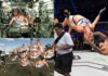 These Hilarious Holly Holm Backflip Memes Will Make Your Day