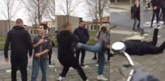 Giant Bully Humiliated In Public By Martial Artist