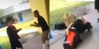 Kid With MMA Skills Destroys Bully Using Amazing Techniques