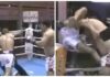 Referee Gets Knocked Down Repeatedly in Hilarious Muay Thai Fight