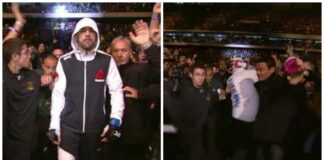 Fan Gets Punched and Ejected for Attacking UFC Fighter in Brazil
