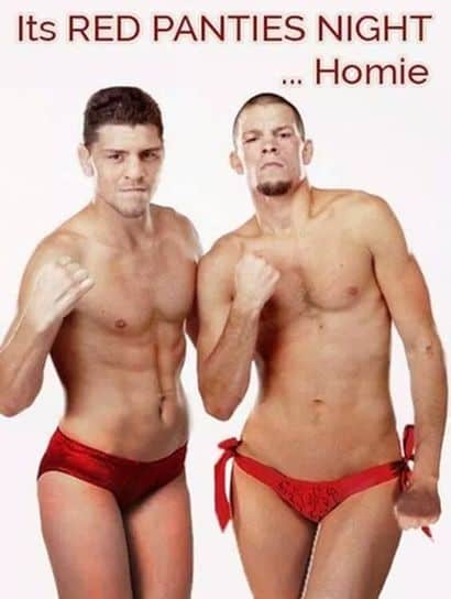nick and nate