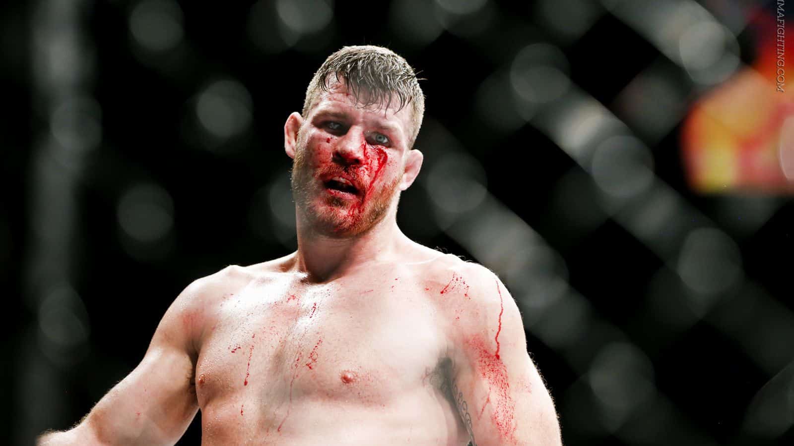 1bisping