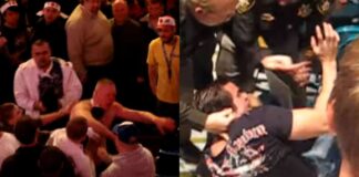 When Fans Lose Control: UFC Crowd Brawls Caught On Video