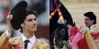 NSFW: Famous Matador Gored To Death By Bull On Live TV