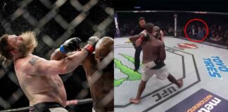 WATCH: Dana White In Shock As Roy Nelson Takes Hardest Punch In UFC History