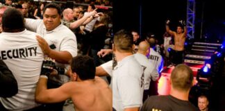 Top Six Wildest Brawls in MMA History