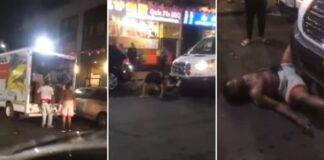 WATCH: Trained Fighter vs. Loudmouth Thug Ends With Vintage KO