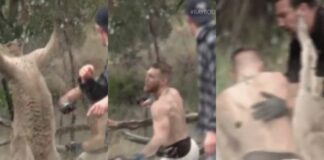 WATCH: Conor McGregor Knocks Out Kangaroo In Viral Video