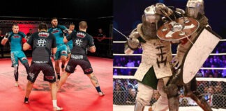 Six Crazy New Ideas for MMA