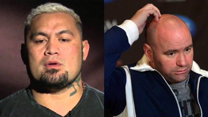 Mark Hunt Dana White