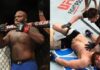 Referee: I’m Sure Travis Browne Liked Late Stoppage Against Derrick Lewis