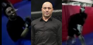 Watch: Crazy Internet Troll Challenges Joe Rogan