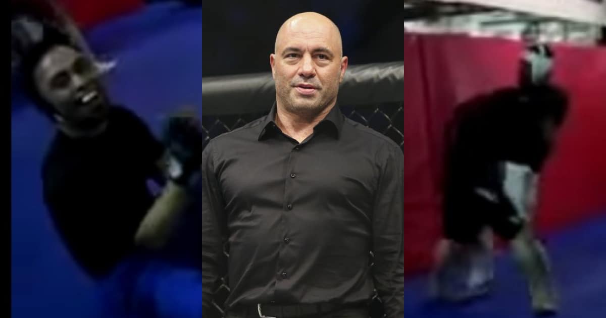Watch: Crazy Internet Troll Challenges Joe Rogan