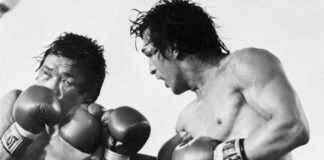 Who are the best boxers in the UFC?