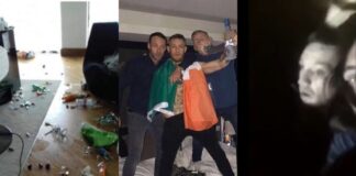 Conor McGregor Trashes Hotel Room, Ends Up Smashed In Treehouse