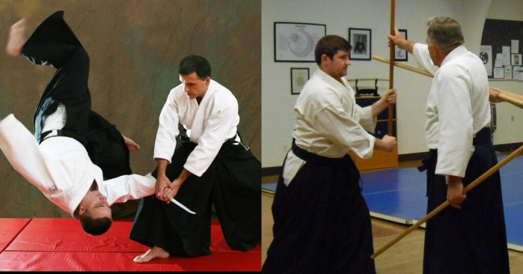 Five Fake Martial Arts Exposed By MMA Fighters