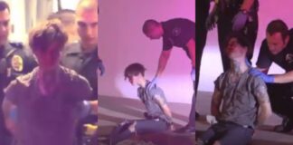 Armed Robber Pulls Gun On MMA Fighter & Gets His Face SMASHED