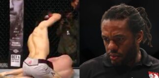WATCH: Herb Dean Slammed After Horrific Late Stoppage
