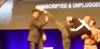 WATCH: Fan Kicks Jean-Claude Van Damme in the Head