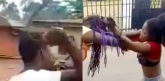 WATCH: Guy Breaks Up All-Girl Street Fight… With His Belt