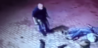 WATCH: 70-Year Old Man Lays Out Attackers With One Punch Each