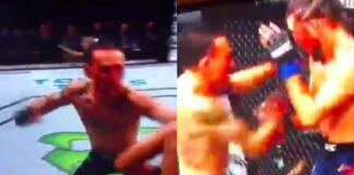 WATCH: Max Holloway Dissects Brian Ortega in Brutal Victory
