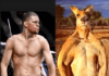 Sad News: The Nate Diaz Kangaroo Has Passed Away