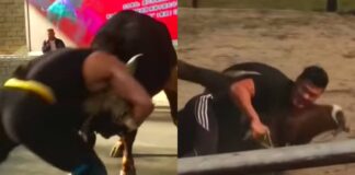 WATCH: Kung Fu Fighter Wrestles Bull in Wild Footage