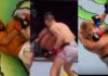 WATCH: Top Last Minute Finishes in UFC History