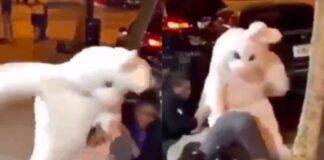 WATCH: Easter Bunny Beats Florida Man With Rabbit Punches