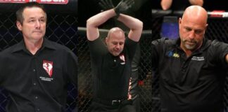 Top 20 UFC Fights Completely Ruined By The Referee