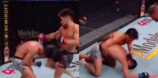 WATCH: Henry Cejudo Beats Dominick Cruz in TKO Win