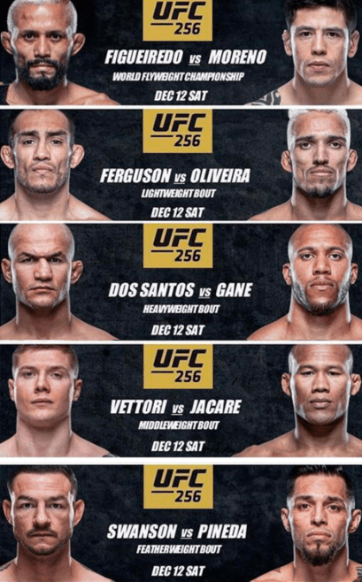 UFC 256