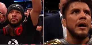 The AMAZING Story of the UFC Flyweight Division