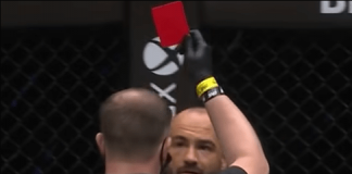Eddie Alvarez gets DQed, did the referee make a MISTAKE?