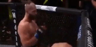 Jiri Prochazka stops Dominick Reyes in a BRUTAL fashion