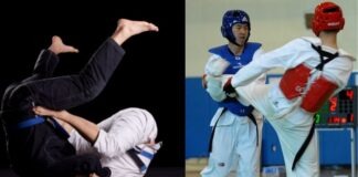 Taekwondo or Jiu-Jitsu: The better background for a UFC fighter?