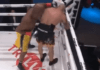 Anderson Silva knocks Tito Ortiz out COLD