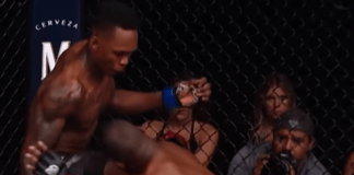 Top 3 UFC Fights to Look Forward to in 2022