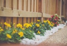 What Are Some Budget-Friendly Landscaping Ideas? yellow petaled flower beside wooden fence
