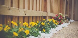 What Are Some Budget-Friendly Landscaping Ideas? yellow petaled flower beside wooden fence