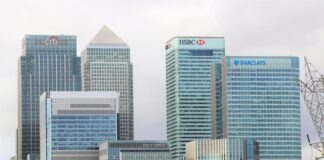 The role of the digital financial sector: future predictions