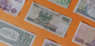 Tips to Help You With Foreign Currency Exchange assorted banknotes on orange surface