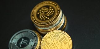 Dice’ing the Pie: How to Gamble Crypto for Profits