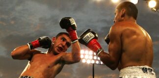 How Important Is The Diet For All The Fighters