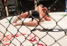 10 Career Choices For an MMA Lover