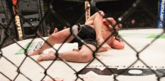 10 Career Choices For an MMA Lover