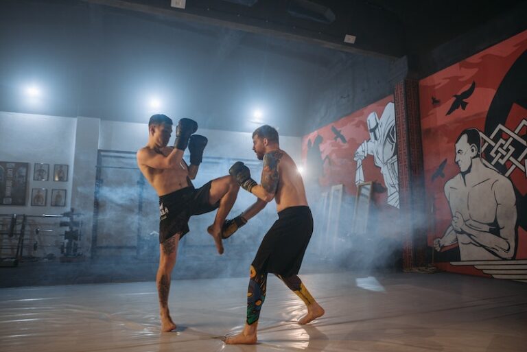 The Effect of the Sports Betting Industry on MMA in Maryland The Effect of the Sports Betting Industry on MMA in Maryland