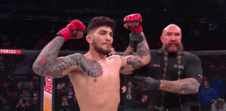 Alex Pereira wants Dillon Danis in UFC